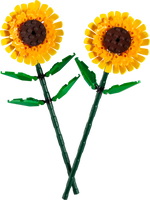 40524 Sunflowers