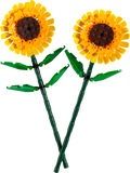 40524 Sunflowers