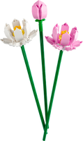 40647 Lotus Flowers