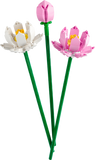 40647 Lotus Flowers