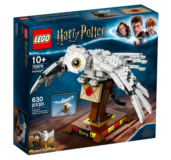 75979 Hedwig (C)