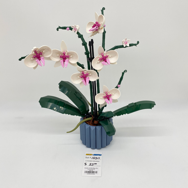 10311 Orchid (U)