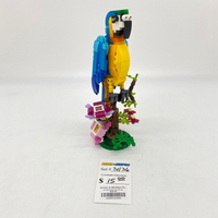 31136 Exotic Parrot (U)