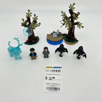 75945 Expecto Patronum (U)