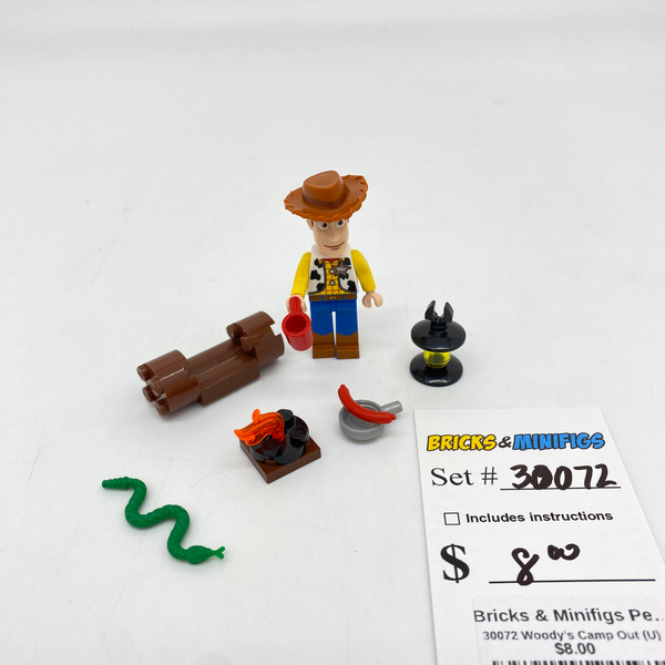 30072 Woody's Camp Out (U)